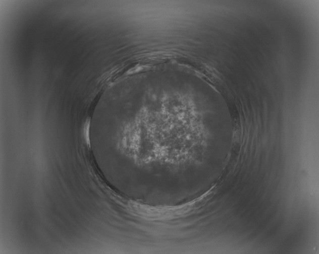 X0000067500047200604211736