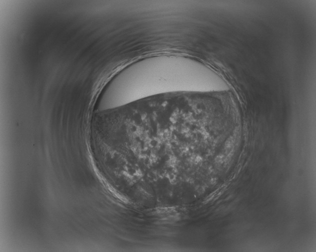 X0000067500049200604211735