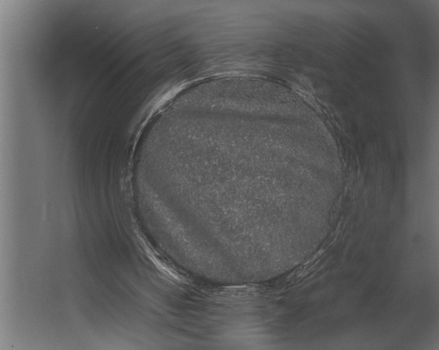 X0000067500050200604211735