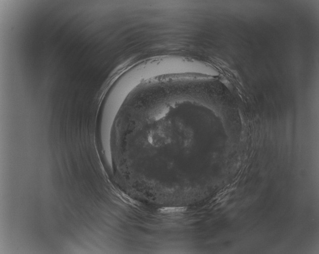 X0000067500051200604211735