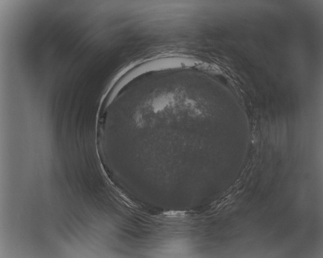 X0000067500052200604211735