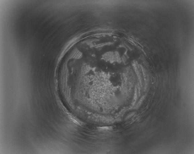 X0000067500053200604211735