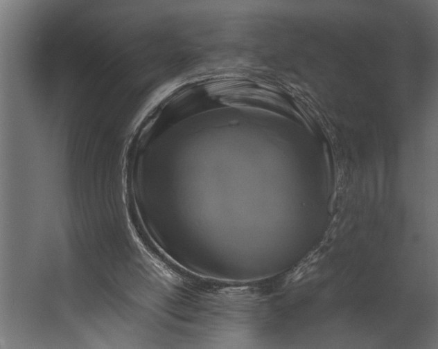 X0000067500054200604211735