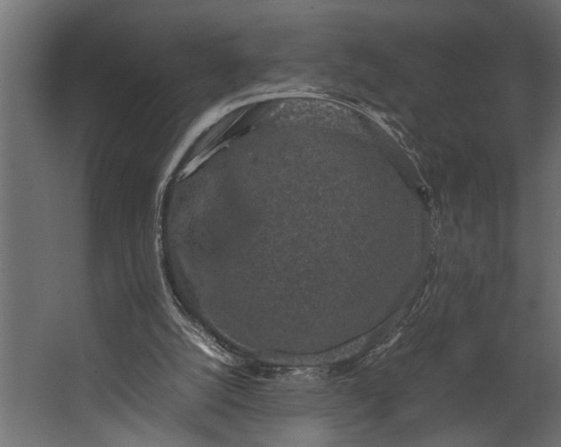 X0000067500056200604211735