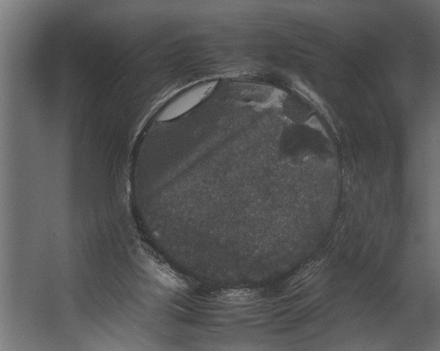 X0000067500059200604211735