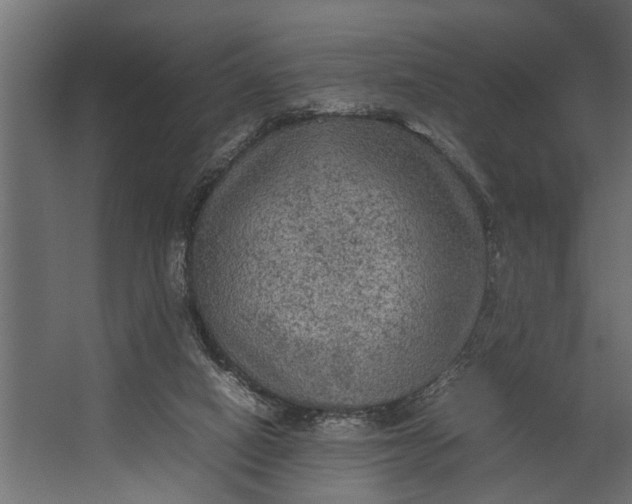 X0000067500066200604211736
