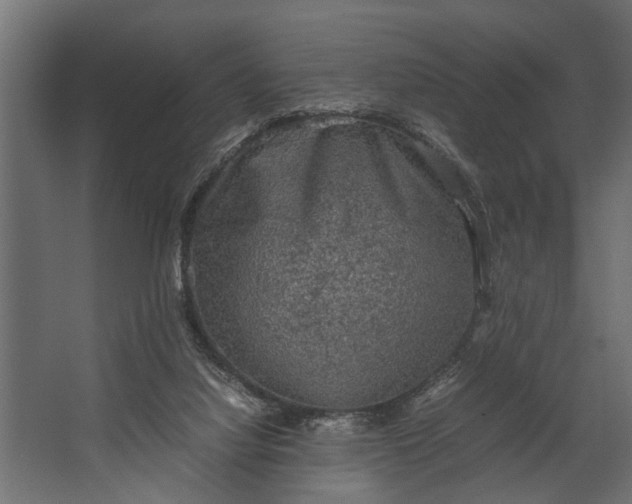 X0000067500068200604211736