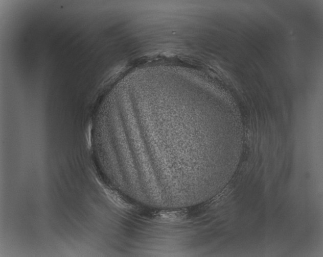 X0000067500070200604211736