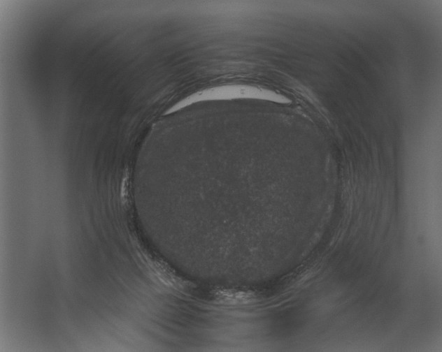 X0000067500073200604211736