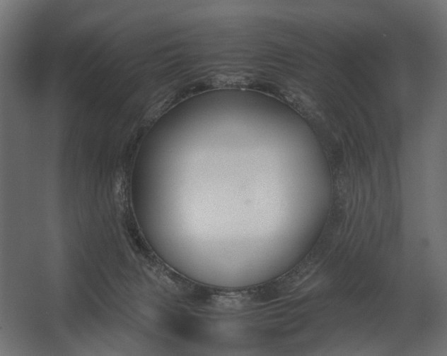 X0000067500079200604211736