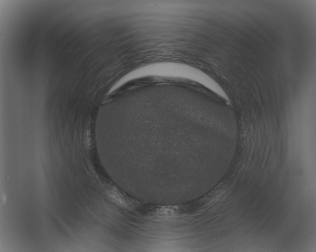 X0000067500080200604211736