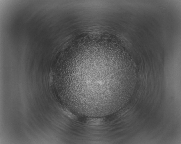 X0000067500081200604211736