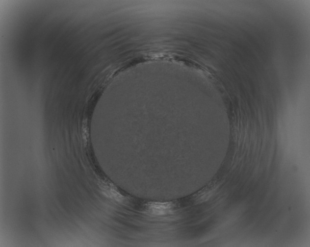 X0000067500085200604211736