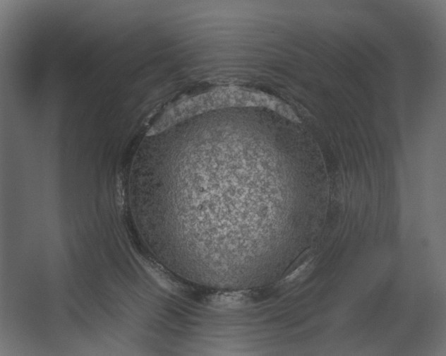 X0000067500086200604211736