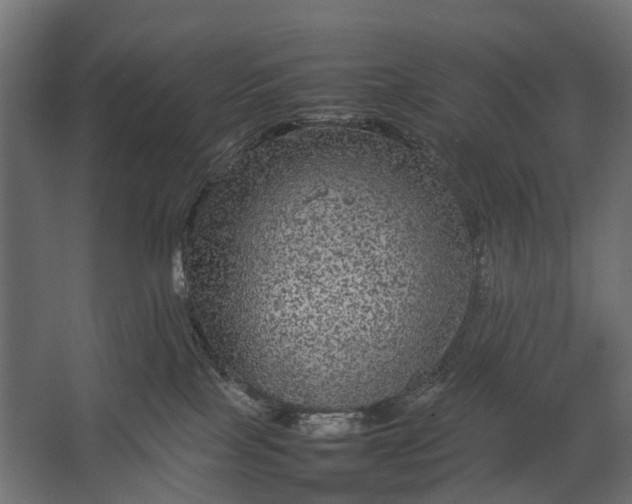 X0000067500089200604211736