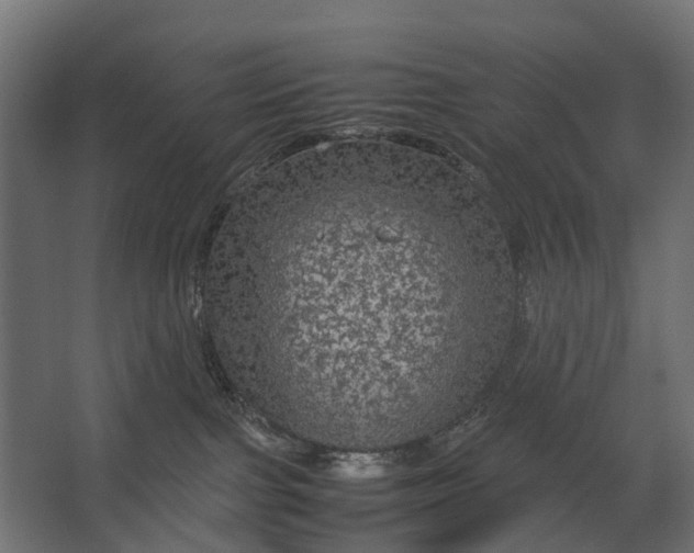 X0000067500091200604211736