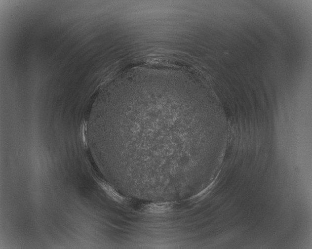 X0000067500094200604211736