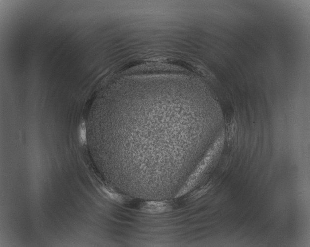 X0000067500095200604211736