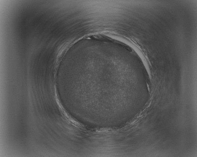 X0000067500097200604211735