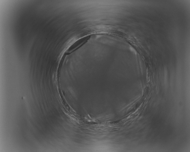 X0000067500099200604211735