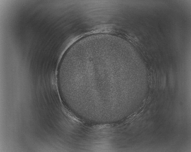 X0000067500100200604211735
