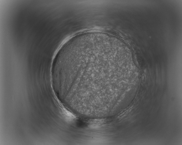 X0000067500102200604211735
