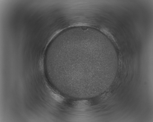 X0000067500108200604211735