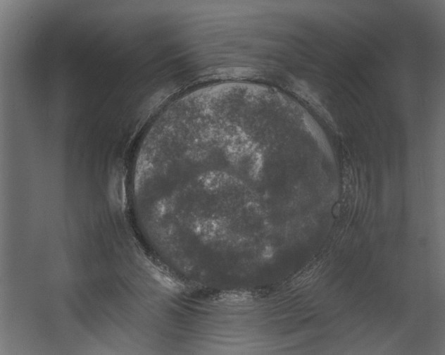 X0000067500110200604211735