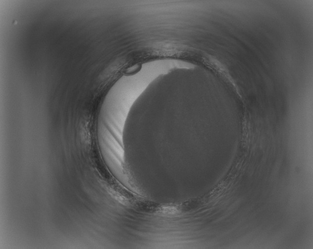 X0000067500114200604211735
