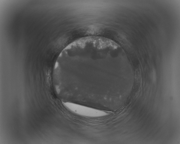 X0000067500127200604211735