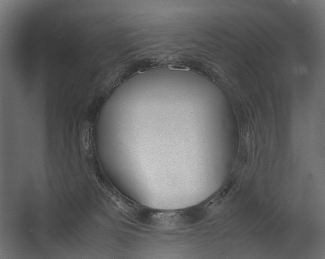 X0000067500133200604211735