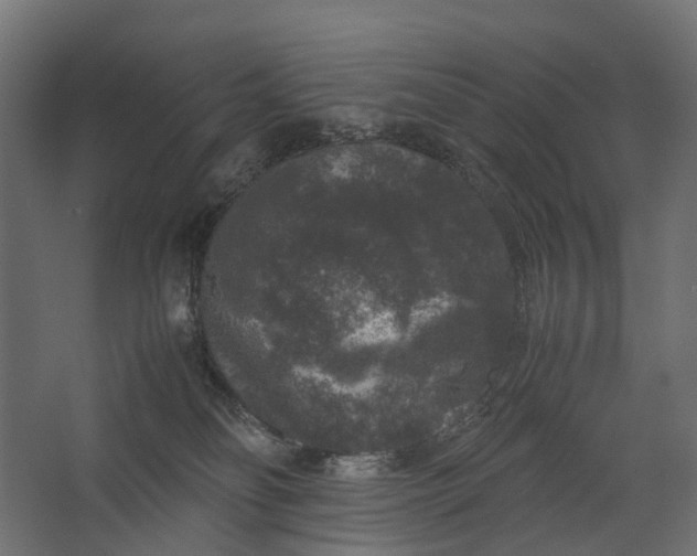 X0000067500134200604211735