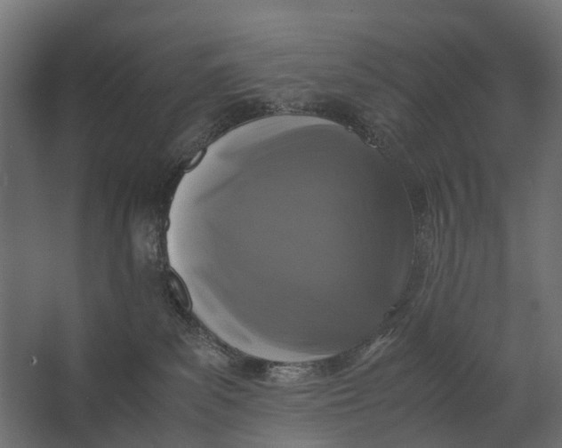 X0000067500139200604211735