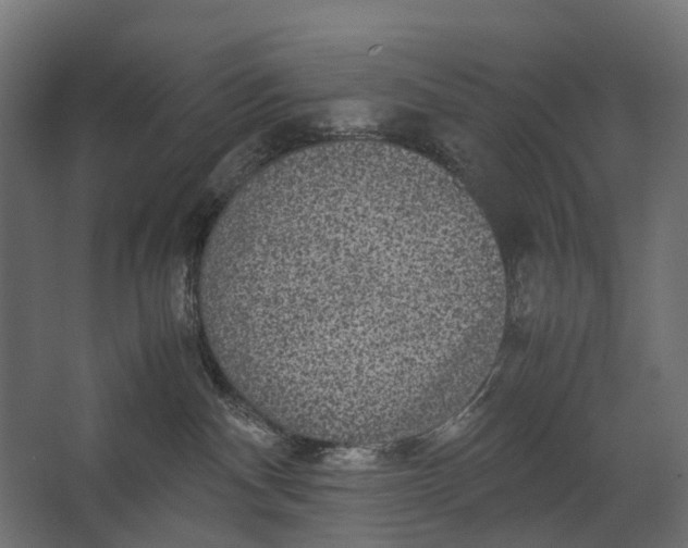 X0000067500140200604211735