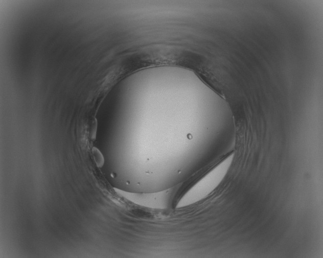 X0000067500141200604211735