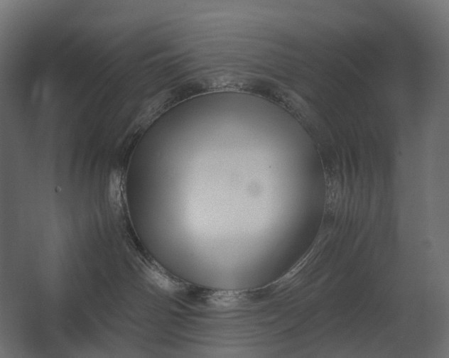 X0000067500142200604211735