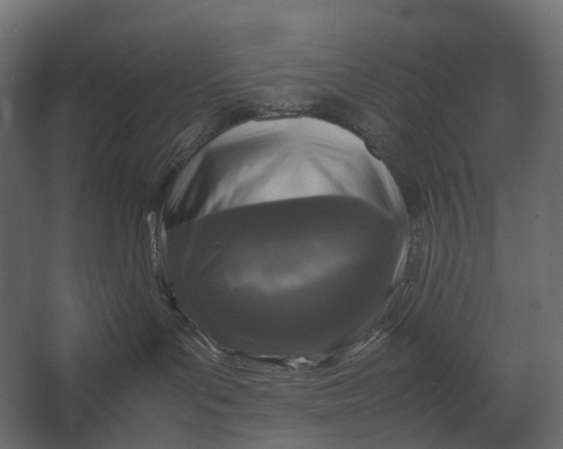 X0000067500143200604211735
