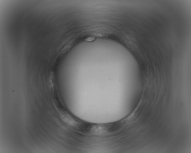 X0000067500174200604211734