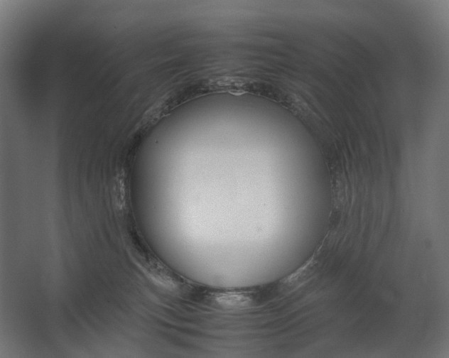 X0000067500183200604211734