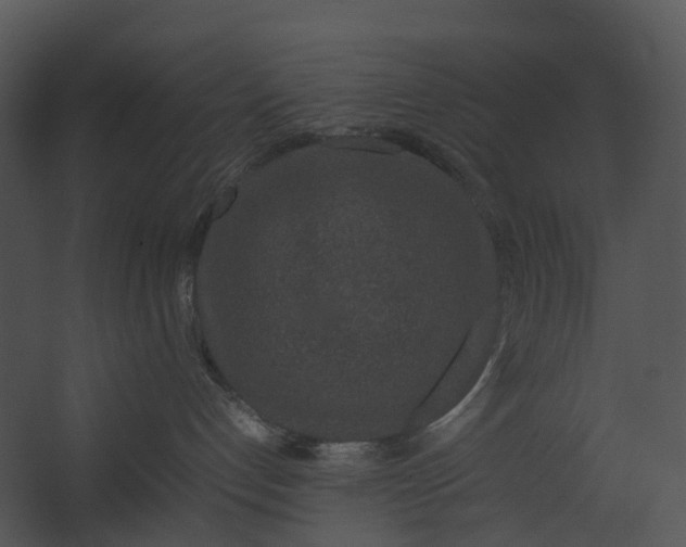 X0000067500192200604211734
