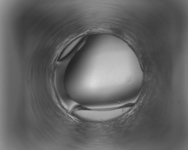 X0000067500193200604211734