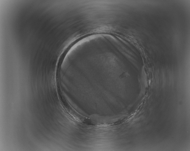 X0000067500196200604211734