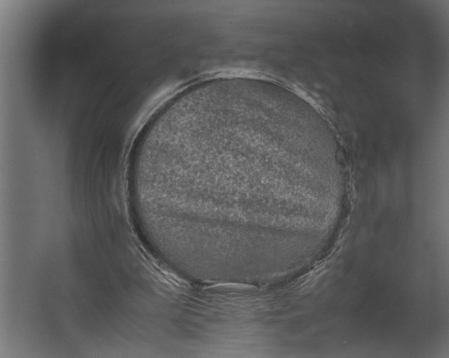 X0000067500199200604211734