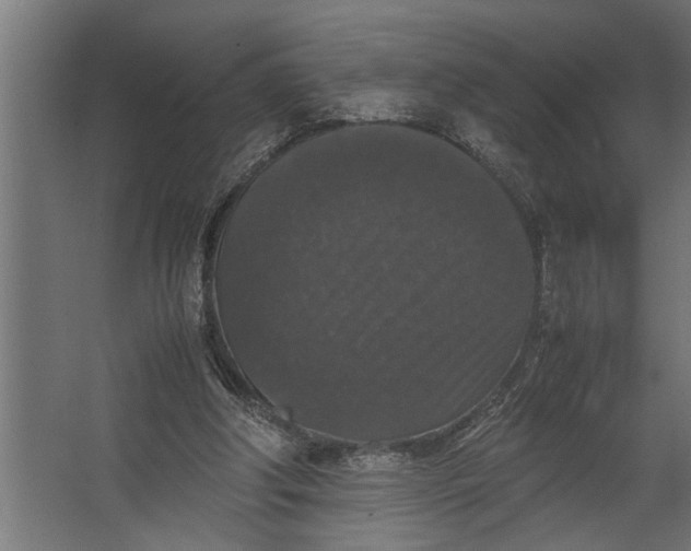 X0000067500202200604211733