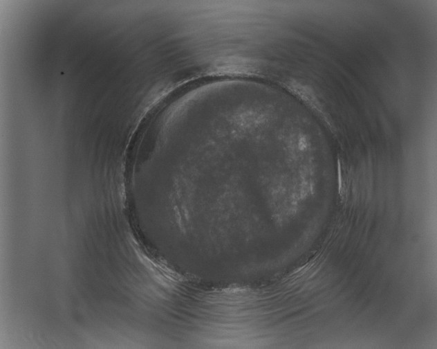 X0000067500204200604211733