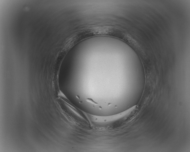 X0000067500209200604211733