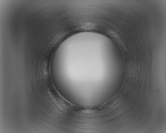 X0000067500212200604211733