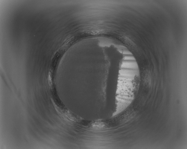 X0000067500214200604211733