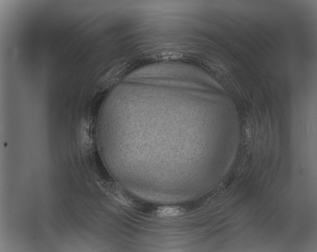 X0000067500218200604211733