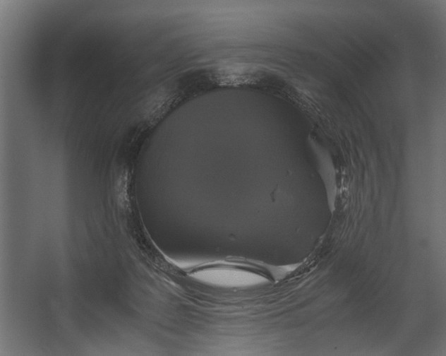 X0000067500219200604211733